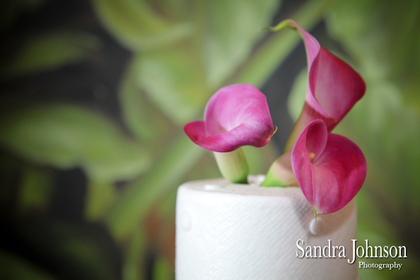 Best Orlando Wedding photographer - Sandra Johnson (SJFoto.com)